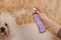 Detangling sprays and final styling