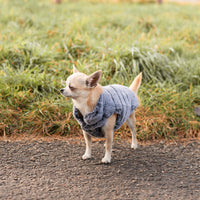 Winter jackets and coats