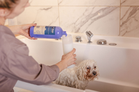 For restoring and revitalizing coat color