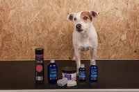 Supportive products and stimulants