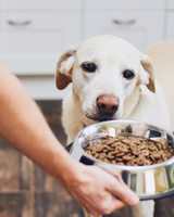 Stainless steel bowls