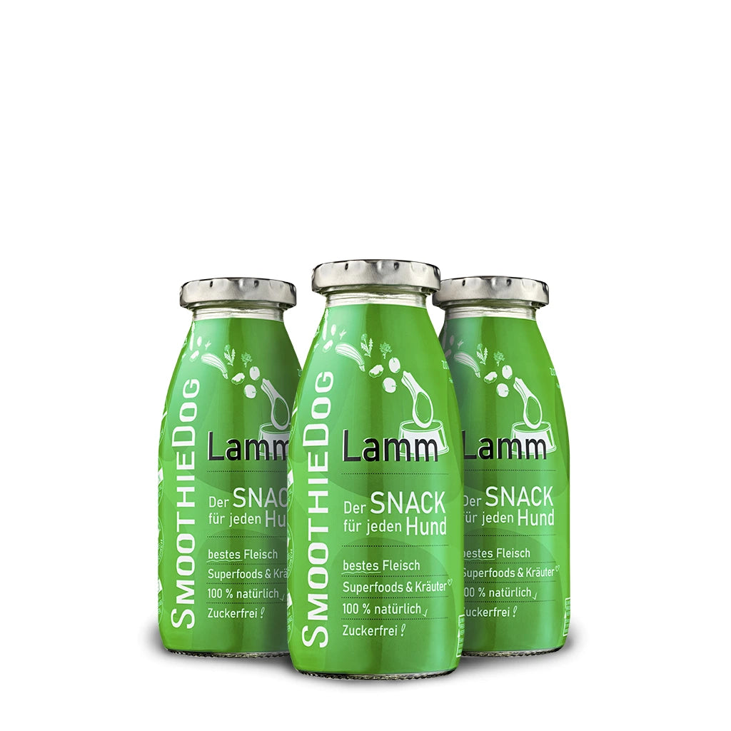 Jahňacie smoothie pre psov