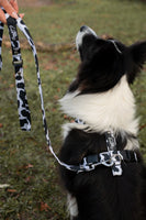 Harnesses and bridles