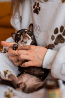 Starostlivosť o pazúriky, labky, ňufáčik