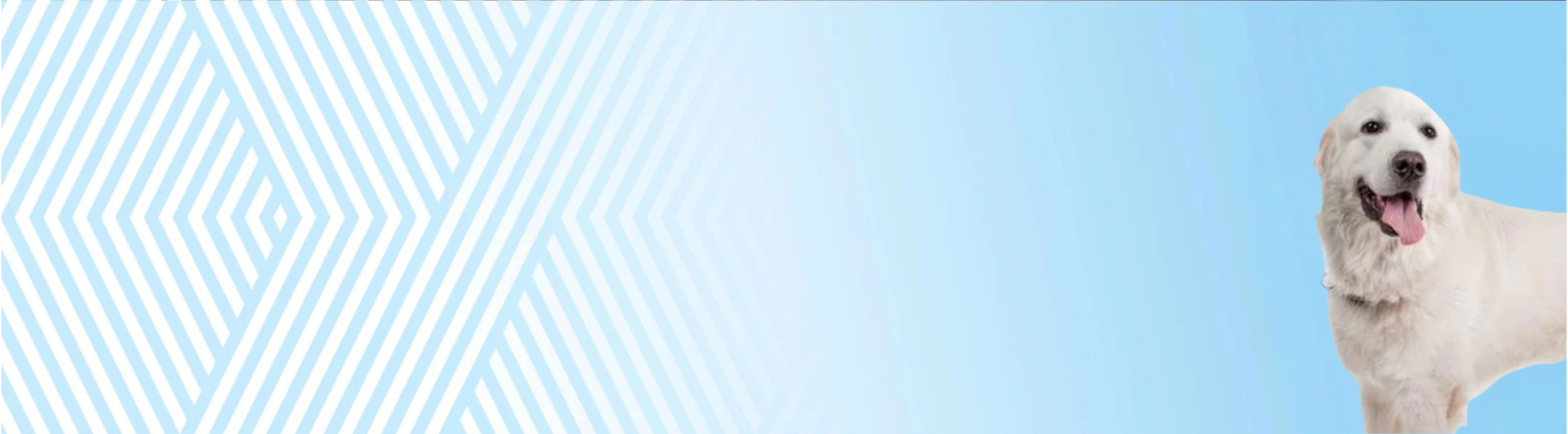 Podhalaňský ovčák