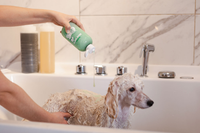 Antiparazitné šampóny