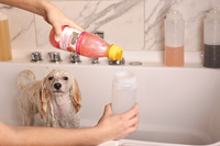 Ošetrujúce šampóny