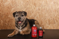 Ošetrujúce prípravky a hojivé kúry