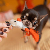 Hračky pre spoločné hranie