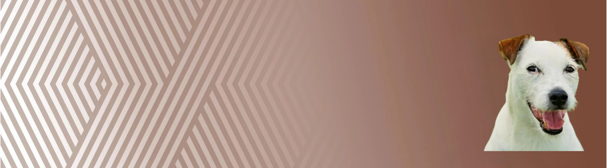 Parson russel teriér