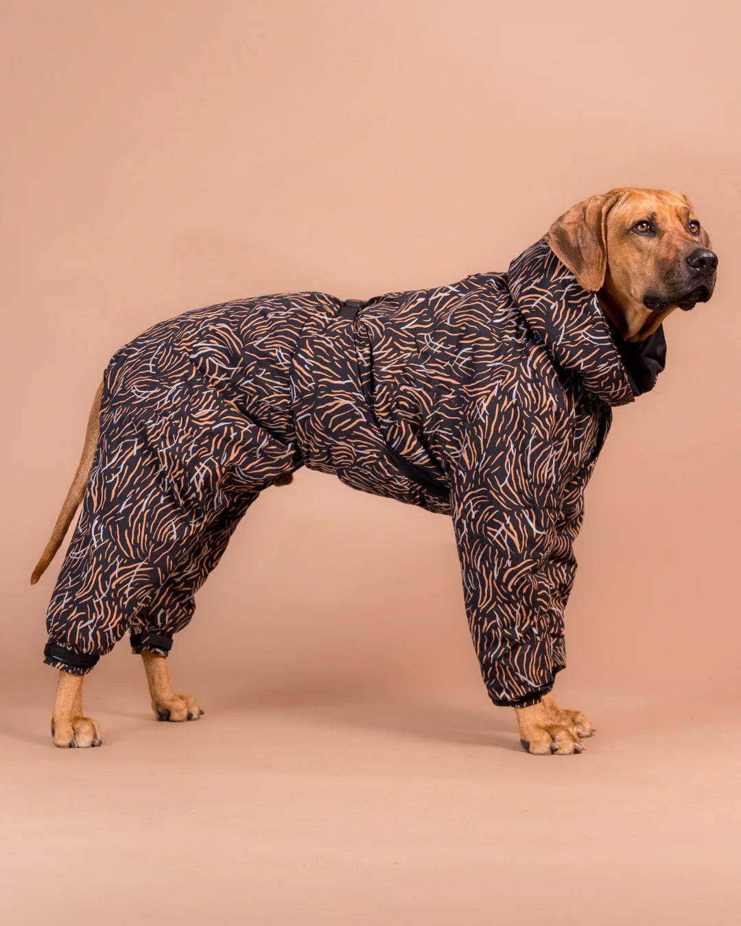 PAIKKA Zimní kombinéza pro psy COAL