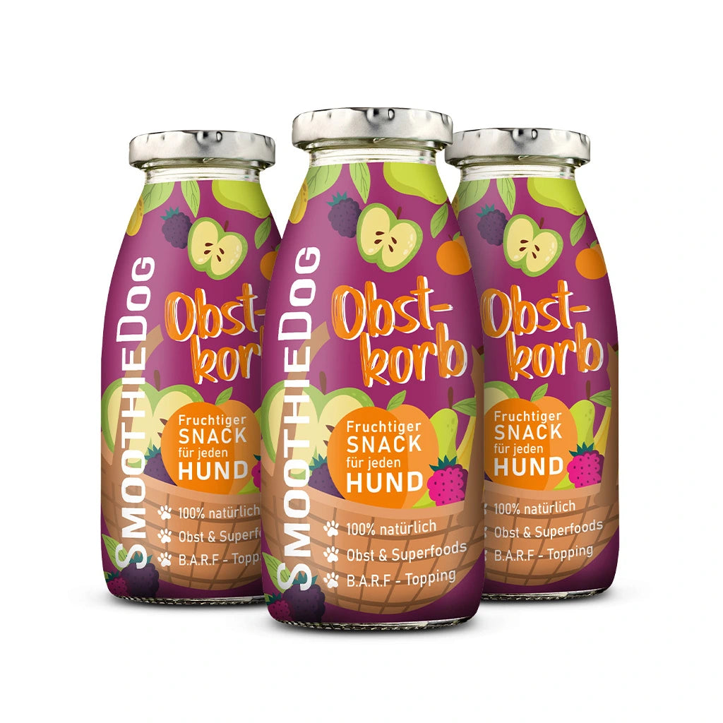 Ovocné smoothie pro psy