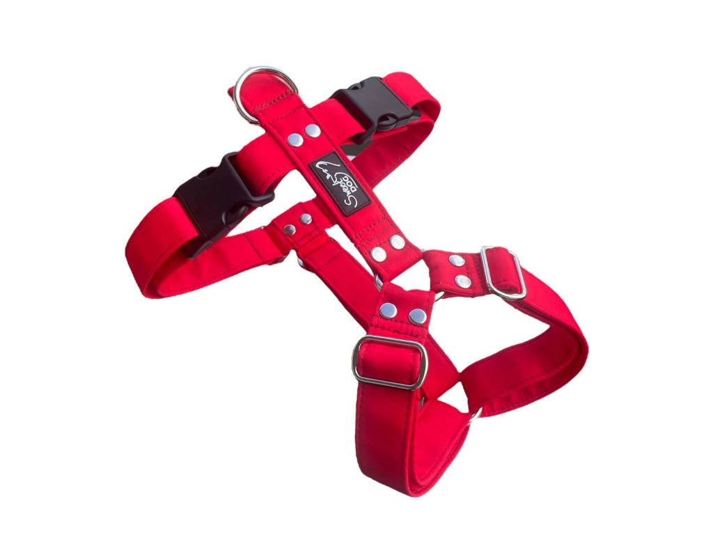 Postroj Coral Red