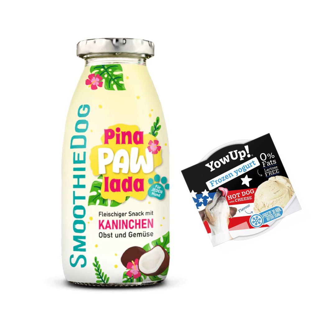 Letní set – SmoothieDog + Zmrzlinka s příchutí hot dog