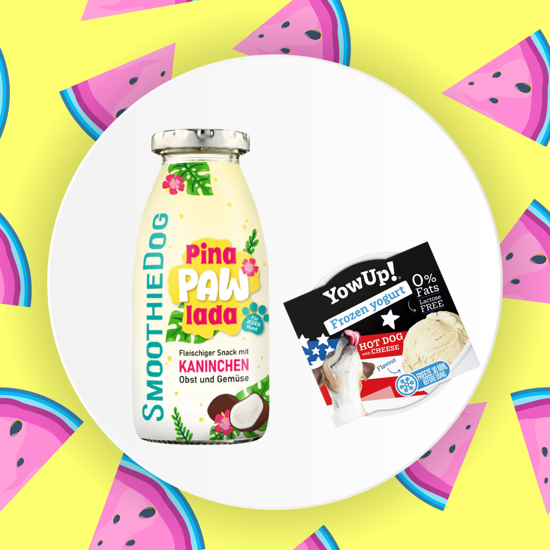 Letní set – SmoothieDog + Zmrzlinka s příchutí hot dog