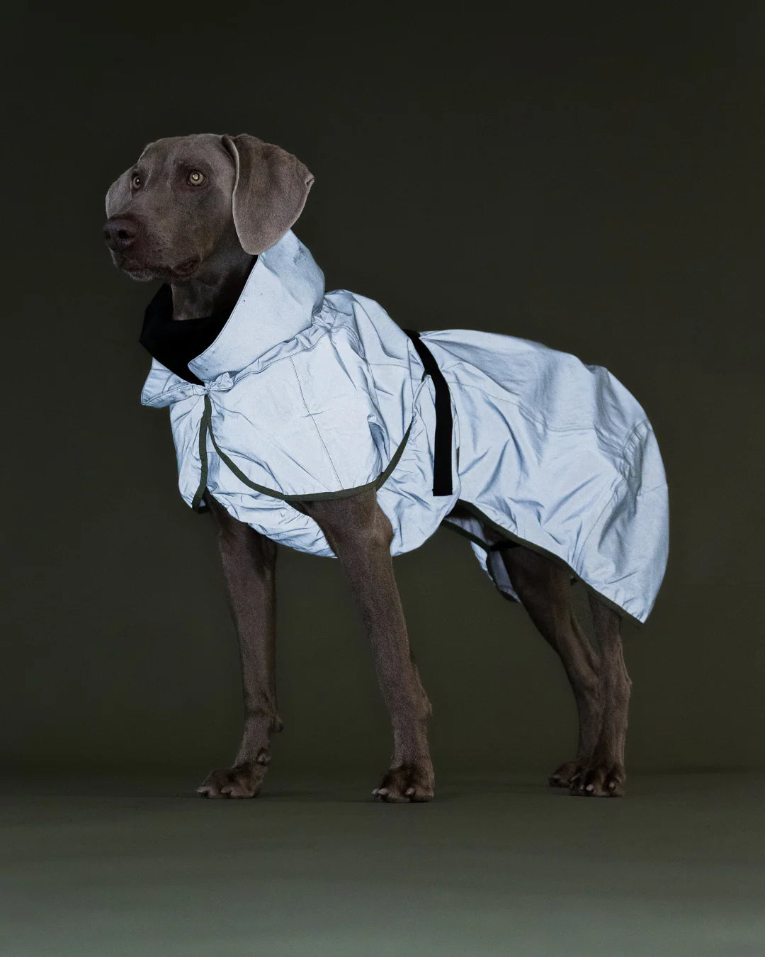 Pláštěnka pro psa Paikka Reflective, zelená