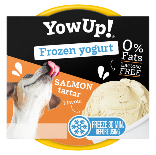 Salmon yogurt