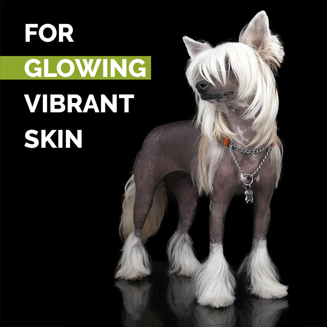 Show Tech - Skinsational Pet Scrub 200 ml