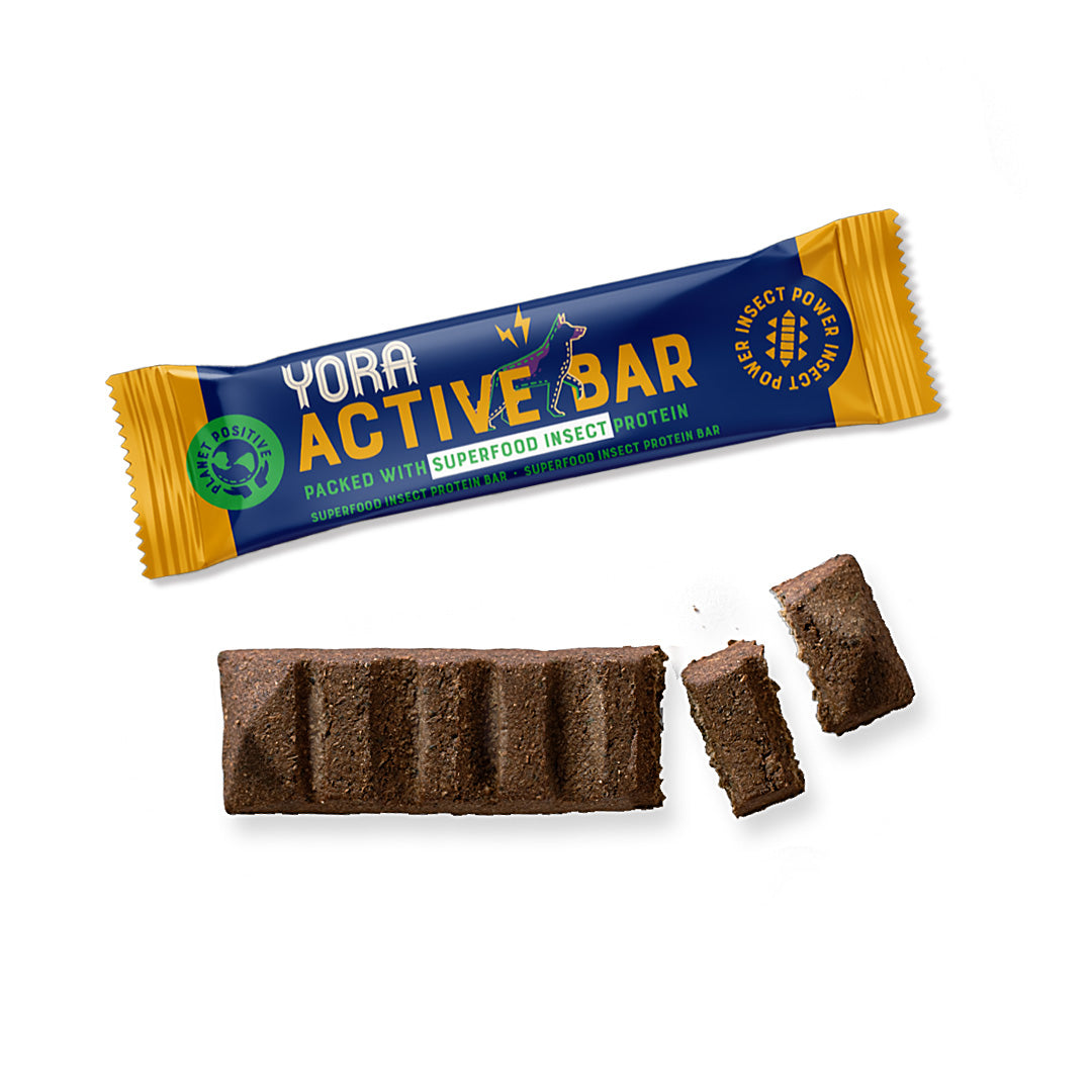 YORA Active proteínová tyčinka z hmyzu 12x35g